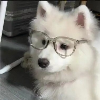 星海无界的头像-渡漳网